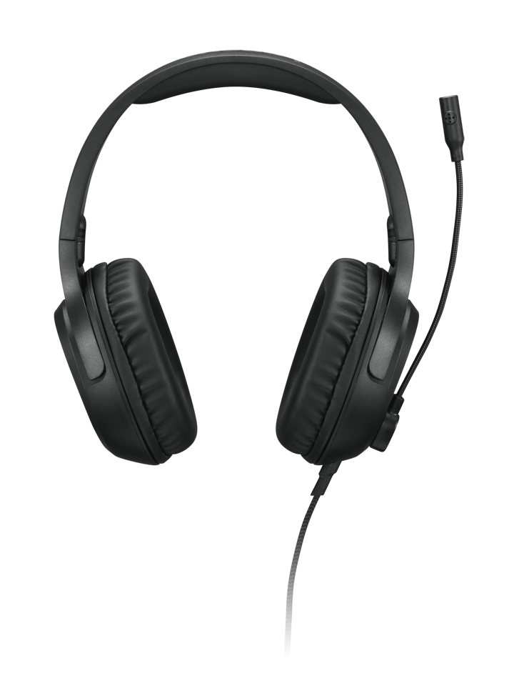LENOVO GXD1P46879 Auriculares H110 Gaming
