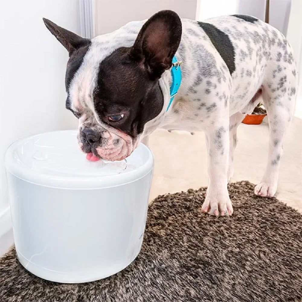 DIMAX G108 Bebedero Inteligente para Mascotas APP Smart Life Alexa Google Assistant