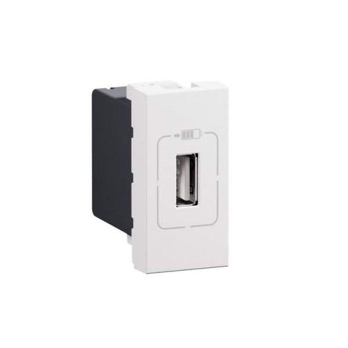 LEGRAND 077591 BASE CARGADOR USB 1 MODULO PUERTO UNICO TIPO A - 1,5A - 7,5W - BLANCO