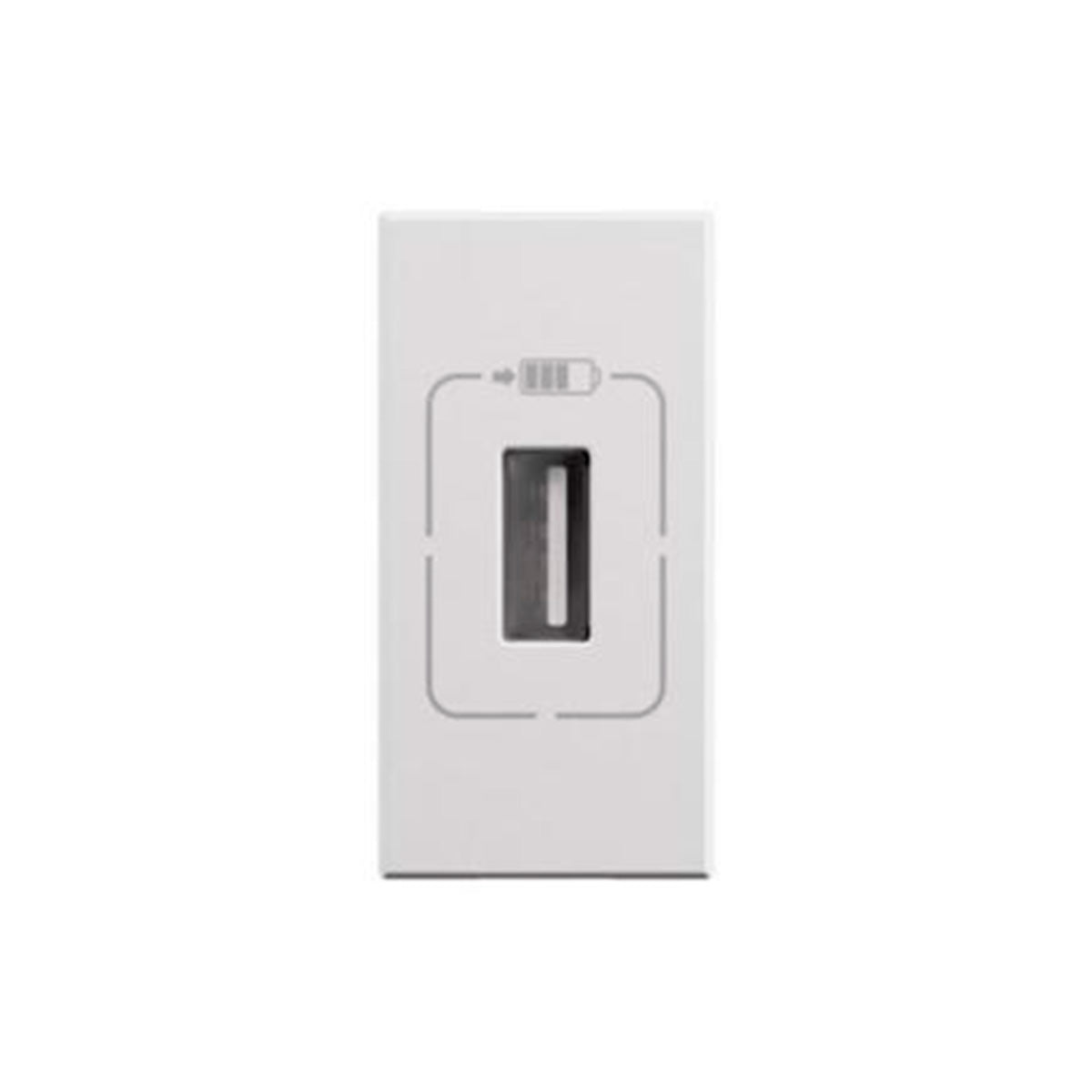 LEGRAND 077591 BASE CARGADOR USB 1 MODULO PUERTO UNICO TIPO A - 1,5A - 7,5W - BLANCO