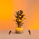 WIZ GROUND SPOTLIGHT Kit Lámpara de piso WIFI inteligente para exterior RGB, 10w, 540 lúmen, IP65, 2-PACK 929003258301