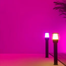 WIZ ELPAS Lámpara Extensión para pedestal WIFI inteligente RGB, 4,8w, 400 Lúmen, luminaria para exterior 929003265101