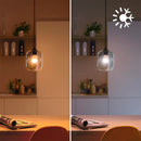 Lâmpada inteligente WIZ P45 E27 40W, multicolorida, 450 lúmens, 25000 horas, 929003499812