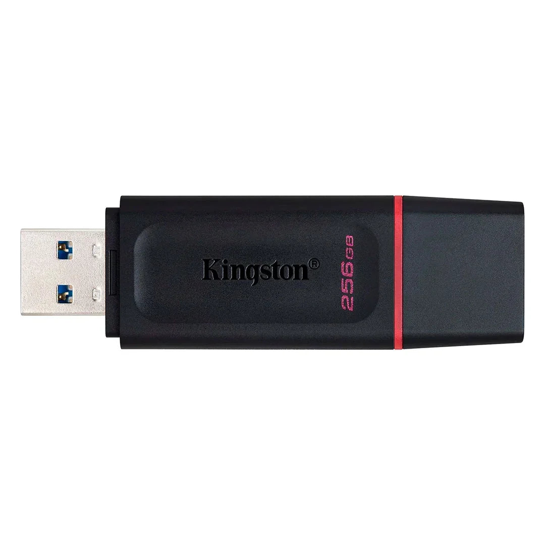 KINGSTON DTX/256GB EXODIA Memoria USB 3.2 256GB