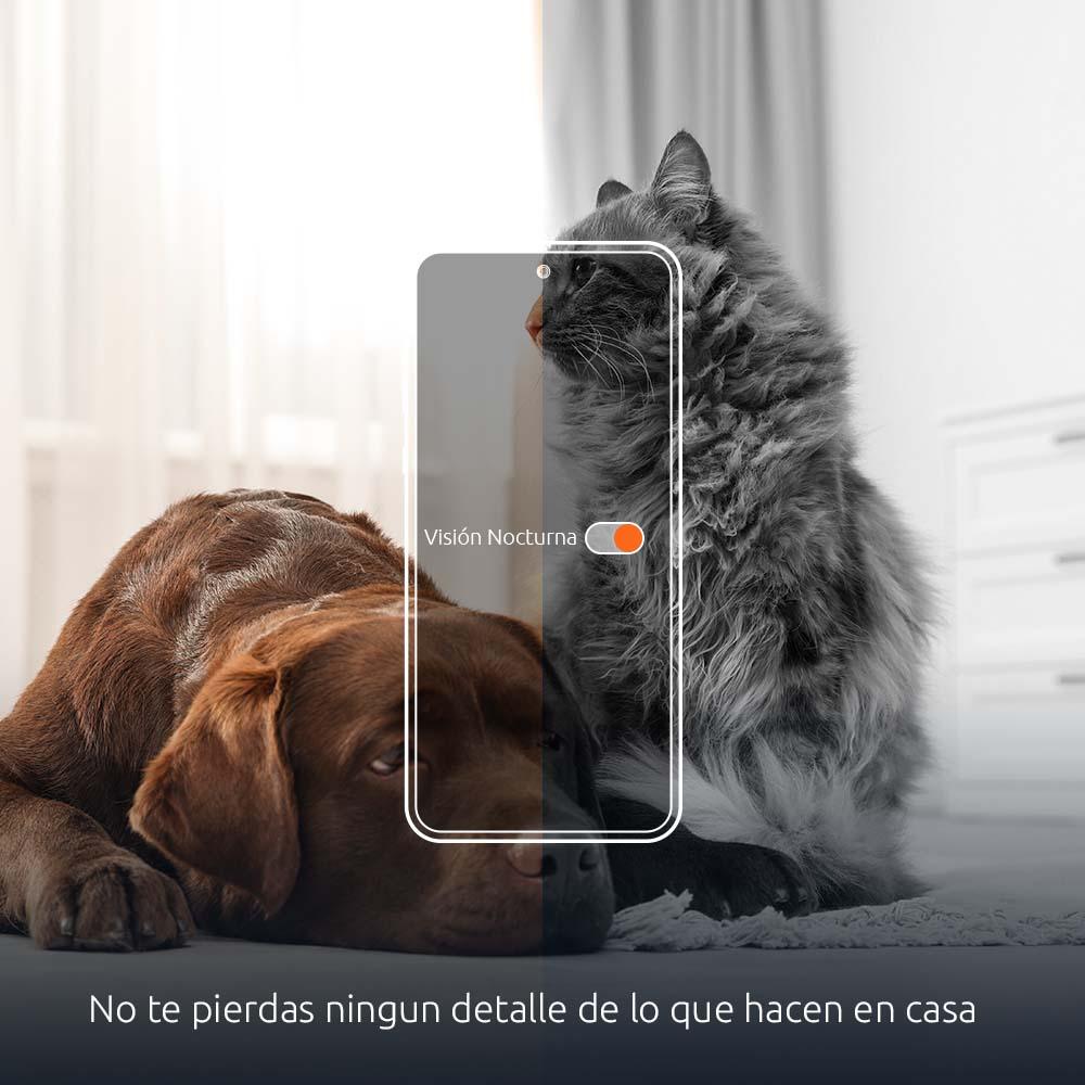 NEXXT SOLUTIONS NHA-P610 Dispensador WIFI de Alimento para Mascotas con Cámara 1080P