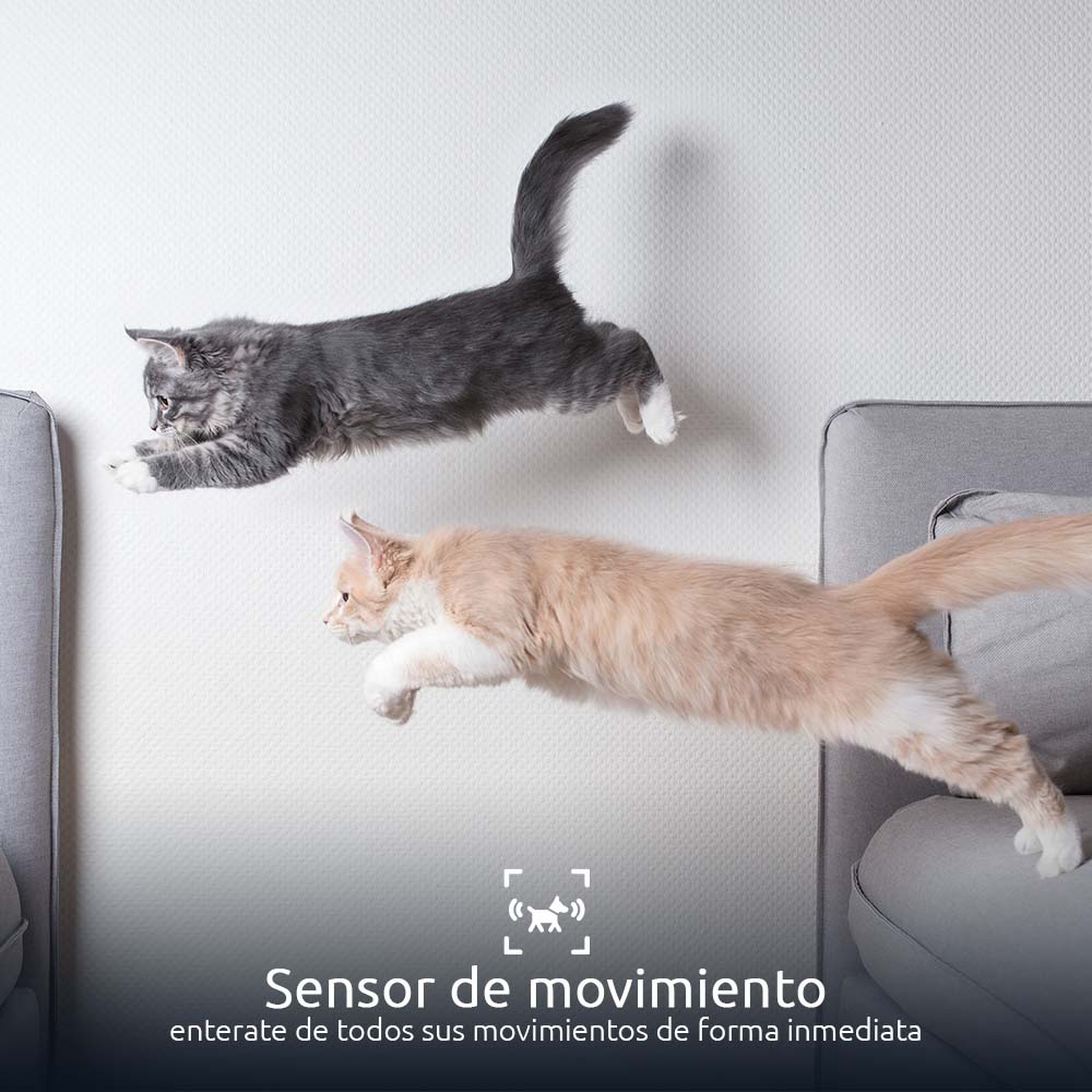 NEXXT SOLUTIONS NHA-P610 Dispensador WIFI de Alimento para Mascotas con Cámara 1080P