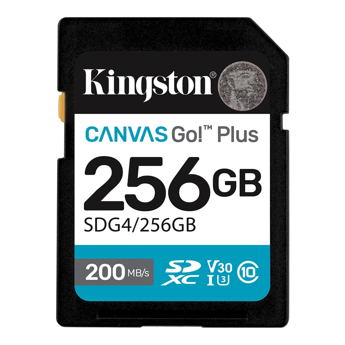 KINGSTON SDG4/256GB Canvas Go Plus Tarjeta de Memoria SD 256GB