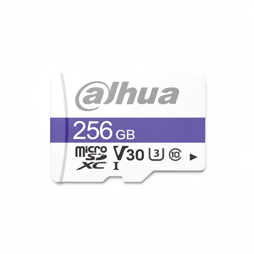 Dahua TF-C100/256GB