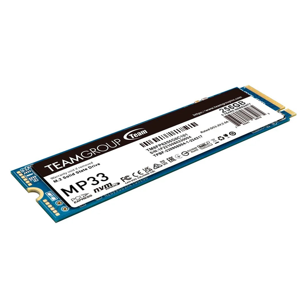 TEAMGROUP TG MP33 SSD Disco Sólido 256GB NVMe M.2