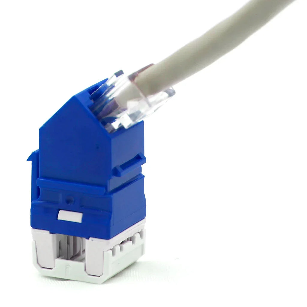 Angular Rj45 Modular SATRA 0102070004 Jack RJ45 Angular Cat6 Azul