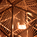 PHILIPS HUE 929002471901 Smart Bulb Spotlight 13w A67 E27