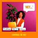 WIZ Smart 7W Clear Filament Bulb, A60, E27, Warm and Cool White Light, 806 Lumens, 929003017212