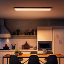 PHILIPS HUE 929003099101 Rectangular panel lamp 39w, Warm white light, 25000 hours