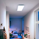 PHILIPS HUE 929003099101 Rectangular panel lamp 39w, Warm white light, 25000 hours