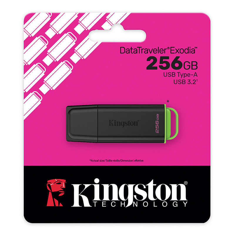 KINGSTON DTXG2/256GB Memoria USB Exodia G2 256GB USB 3.2 GEN 1