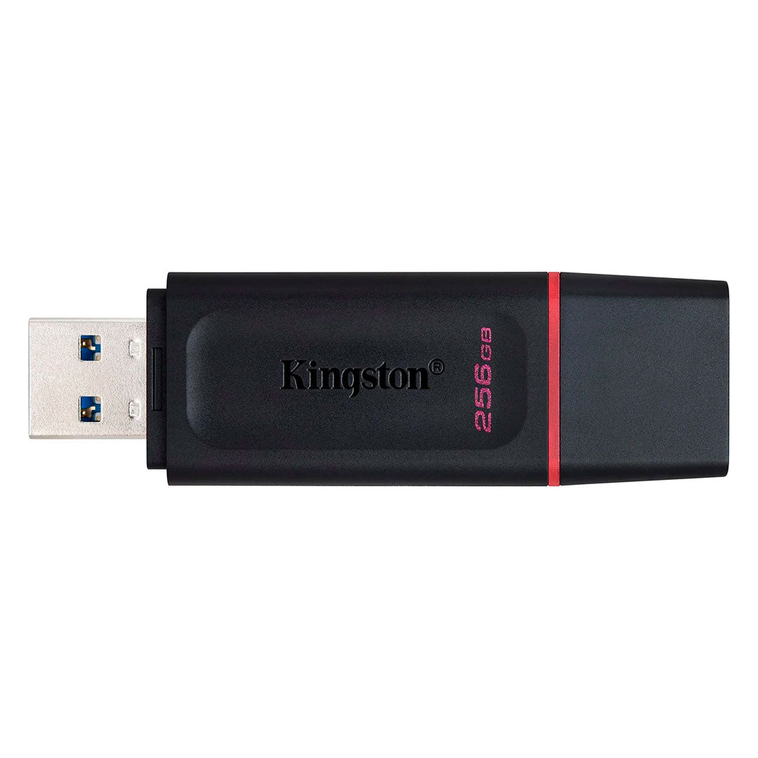 KINGSTON DTX/256GB EXODIA Memoria USB 3.2 256GB