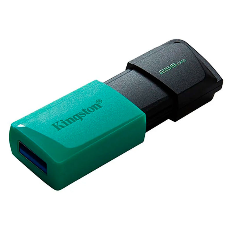 KINGSTON DTXM/256GB - Memoria Flash USB Kingston DataTraveler Exodia M 256GB USB 3.2 Gen 1 Azul