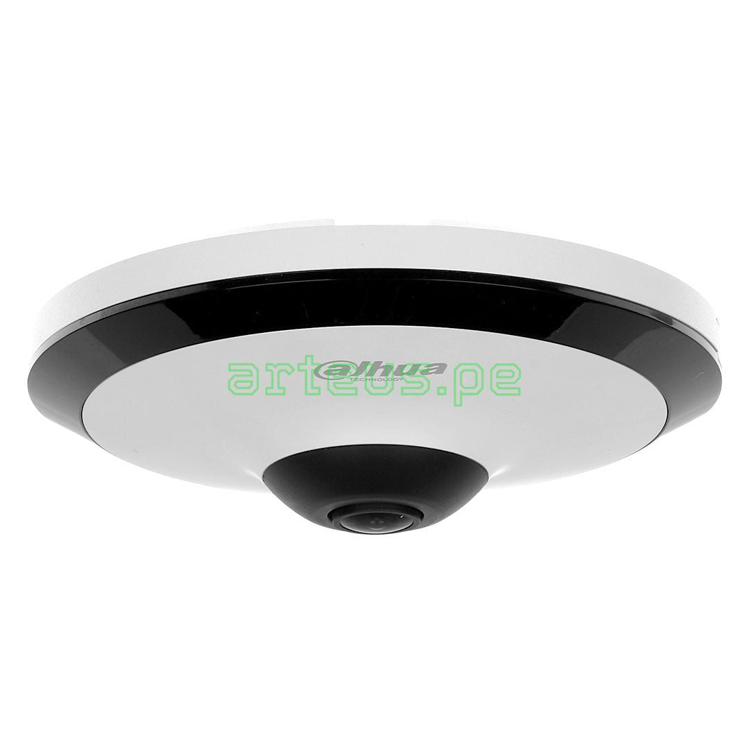 Cámara de seguridad tipo domo ojo de pez para vigilancia, color blanco y negro.