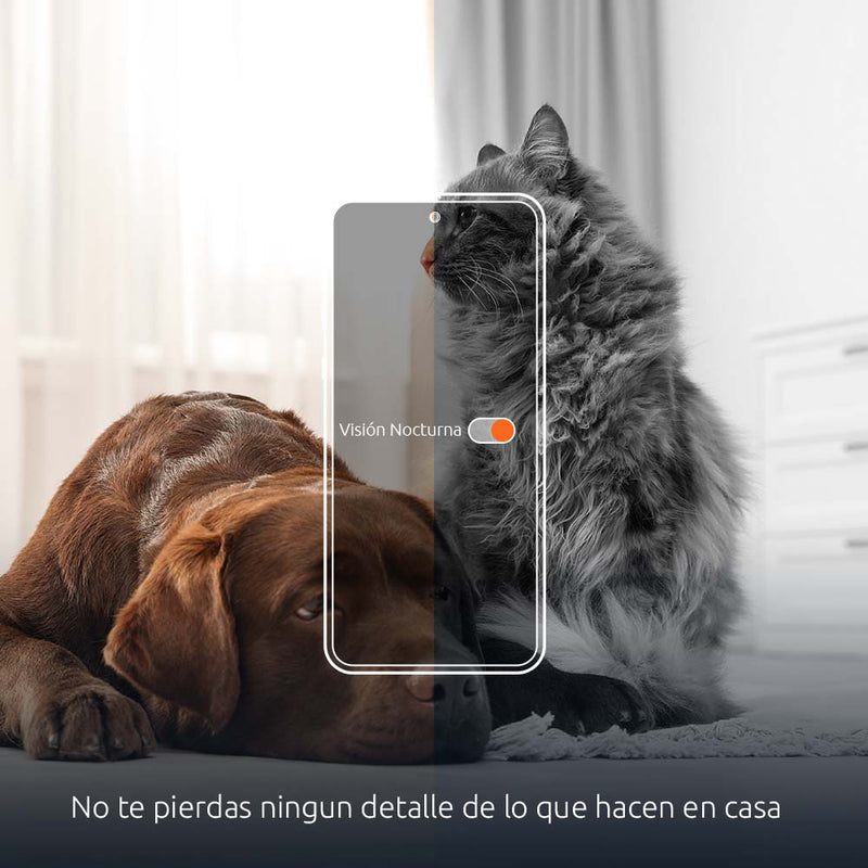 NEXXT SOLUTIONS NHA-P610 Dispensador WIFI de alimento para mascotas con cámara 1080P.