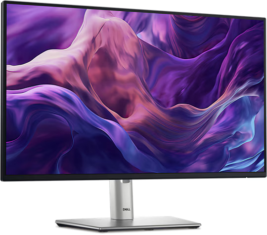 DELL P2425H Monitor 24" Full HD IPS 100Hz